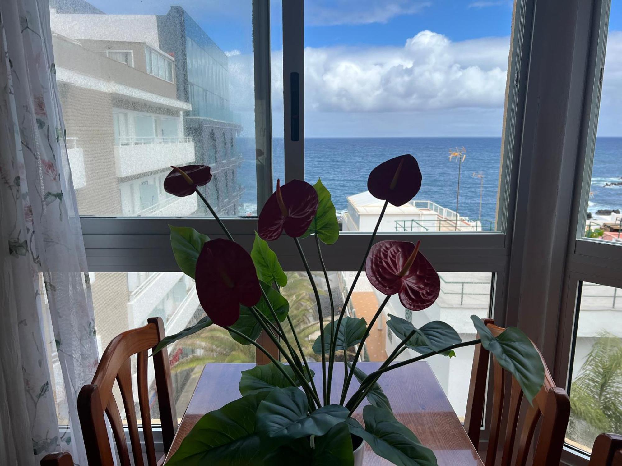 Appartement Vista Rosmary à Puerto de la Cruz  Extérieur photo